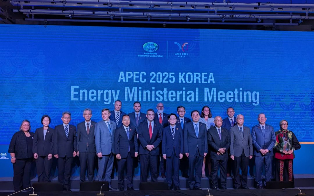 The 15th Asia-Pacific Economic Cooperation Energy Ministerial Meeting (APEC EMM)