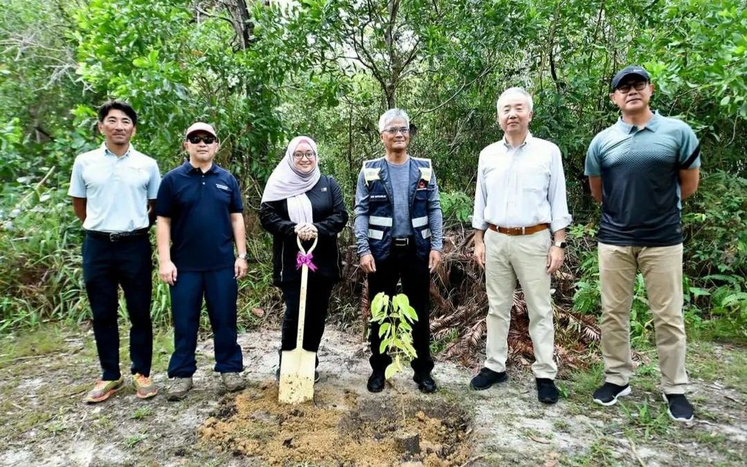 Raising Environmental Awareness through Tree Planting Activities