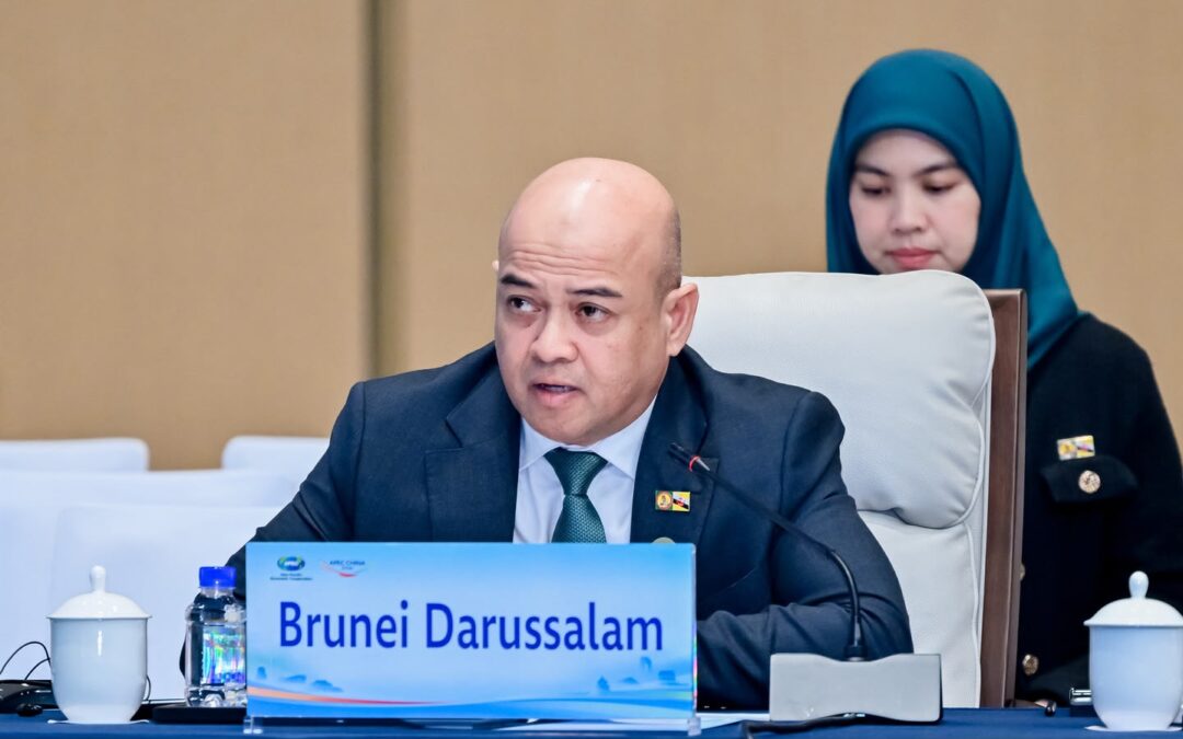 16th Asia-Pacific Economic Cooperation Energy Ministerial Meeting (16th APEC EMM)